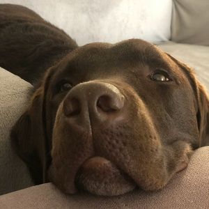 Meet your Posher, Justine